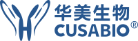 人員定位系統(tǒng)廠家及服務(wù)商-新銳科創(chuàng)